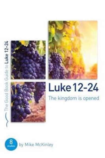 Luke 12-24: The Kingdom Is Opened : 8 Studies for Individuals and Groups, Paperback / softback Book