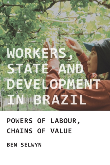 Workers, State and Development in Brazil : Powers of Labour, Chains of Value, Paperback / softback Book