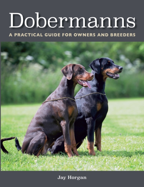 Dobermanns : A Practical Guide for Owners and Breeders, Paperback / softback Book