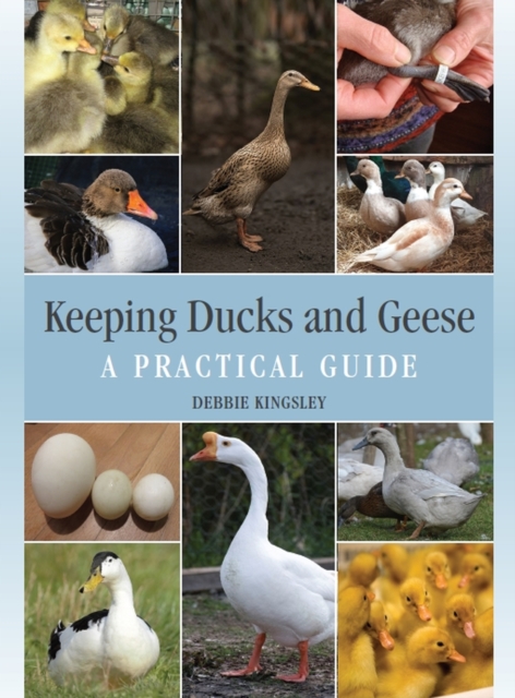 Keeping Ducks and Geese : A Practical Guide, Hardback Book
