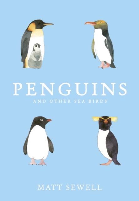 Penguins and Other Sea Birds, Hardback Book