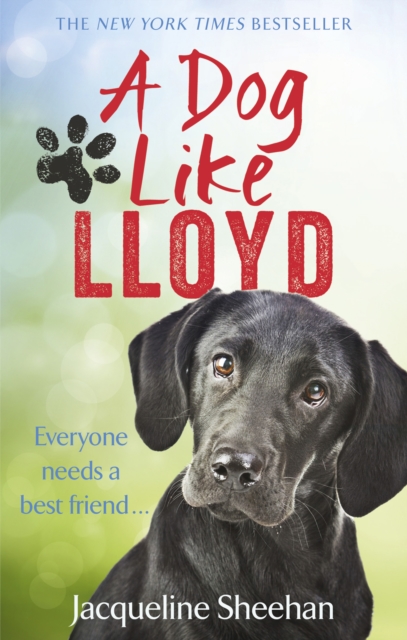A Dog Like Lloyd, Paperback / softback Book