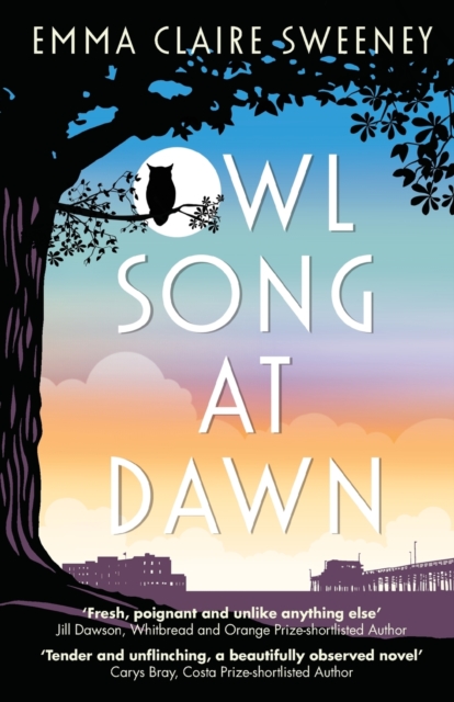 Owl Song at Dawn, Paperback / softback Book