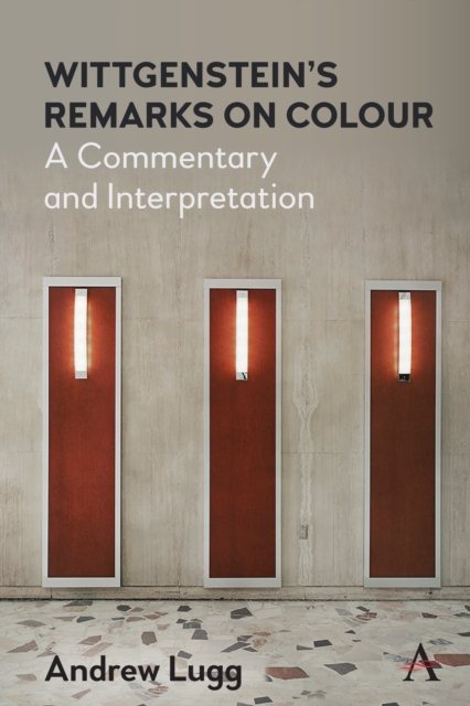 Wittgenstein’s Remarks on Colour : A Commentary and Interpretation, Hardback Book