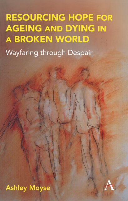 Resourcing Hope for Ageing and Dying in a Broken World : Wayfaring through Despair, PDF eBook