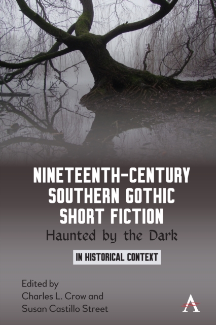 Nineteenth-Century Southern Gothic Short Fiction : Haunted by the Dark, Paperback / softback Book