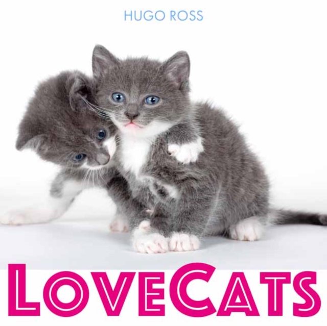 Love Cats, Hardback Book