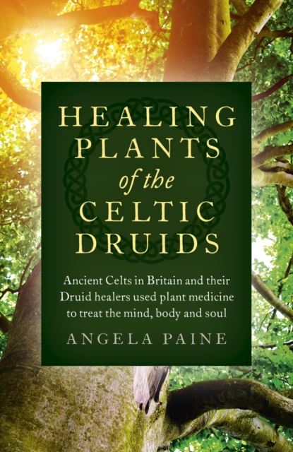 Healing Plants of the Celtic Druids : Ancient Celts in Britain and their Druid healers used plant medicine to treat the mind, body and soul, EPUB eBook