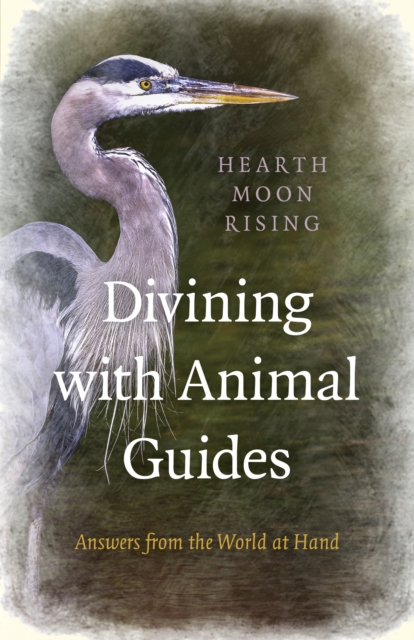Divining with Animal Guides - Answers from the World at Hand, Paperback / softback Book