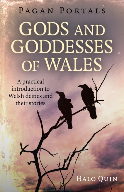 Pagan Portals - Gods and Goddesses of Wales : A practical introduction to Welsh deities and their stories, Paperback / softback Book
