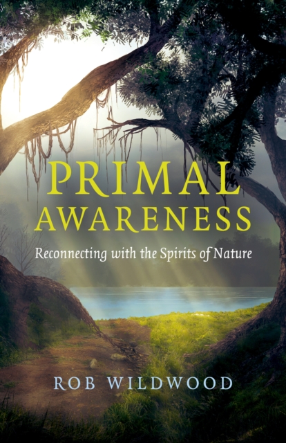 Primal Awareness - Reconnecting with the Spirits of Nature, Paperback / softback Book