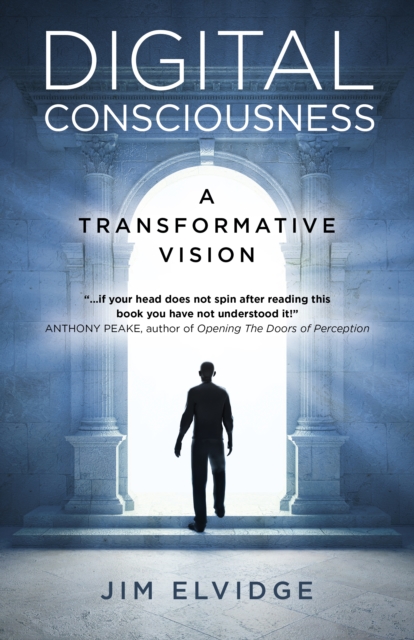 Digital Consciousness : A Transformative Vision, Paperback / softback Book