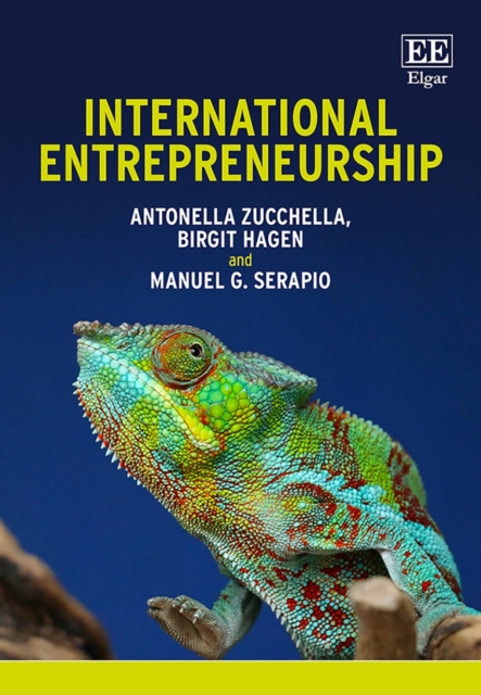 International Entrepreneurship, PDF eBook