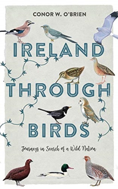 Ireland Through Birds : Journeys in Search of a Wild Nation, Paperback / softback Book