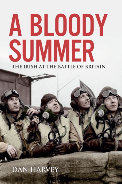 A Bloody Summer : The Irish at the Battle of Britain, EPUB eBook