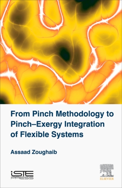 From Pinch Methodology to Pinch-Exergy Integration of Flexible Systems, Hardback Book