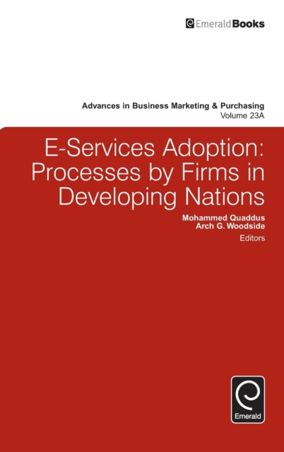 E-Services Adoption : Processes by Firms in Developing Nations, Hardback Book