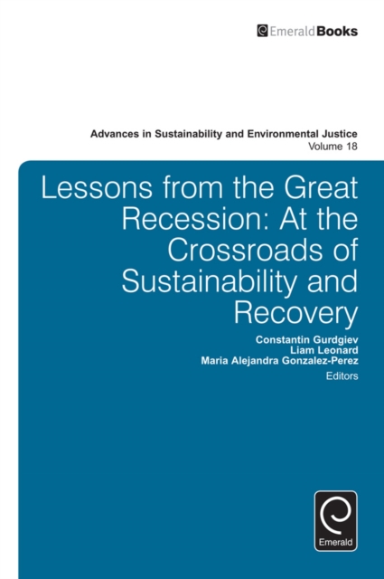 Lessons from the Great Recession : At the Crossroads of Sustainability and Recovery, Hardback Book