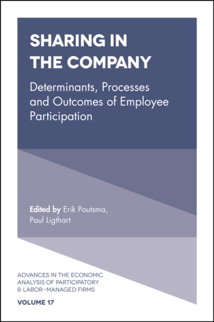 Sharing in the Company : Determinants, Processes and Outcomes of Employee Participation, Hardback Book