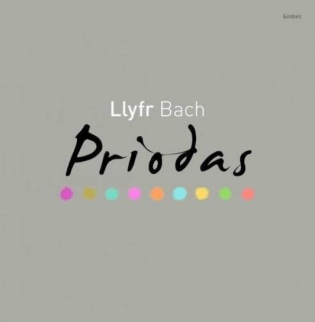 Llyfr Bach Priodas, Paperback / softback Book