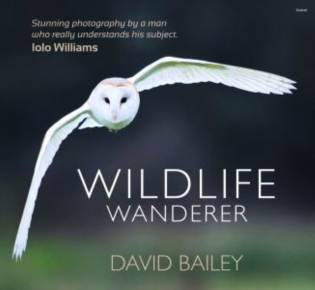 Wildlife Wanderer, Hardback Book