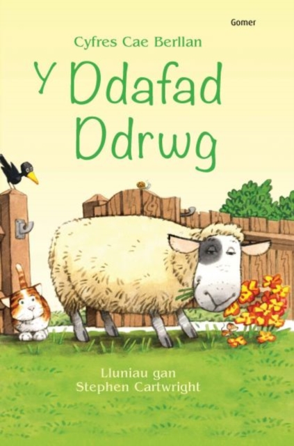 Cyfres Cae Berllan: Ddafad Ddrwg, Y, Hardback Book
