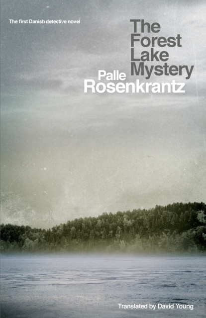 The Forest Lake Mystery, Paperback / softback Book