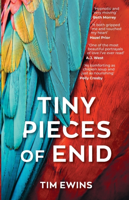 Tiny Pieces of Enid, Paperback / softback Book