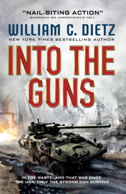 Into the Guns, EPUB eBook