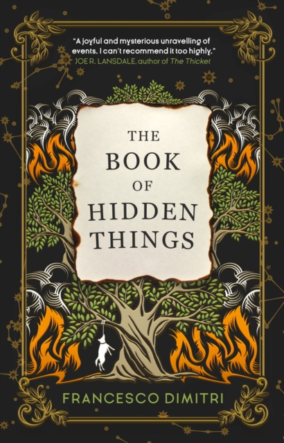 The Book of Hidden Things, Paperback / softback Book