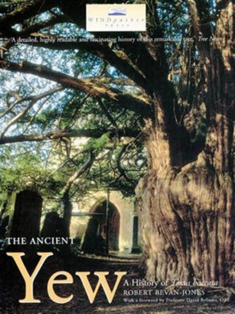 The Ancient Yew : A HISTORY OF TAXUS BACCATA, Paperback / softback Book