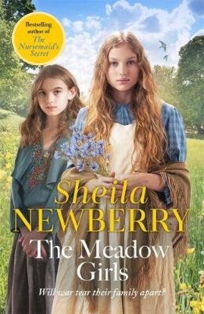 The Meadow Girls : A heartwarming World War I saga, Paperback / softback Book