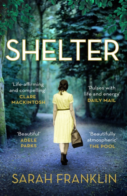 Shelter : ‘One of the year's hottest debuts’, Paperback / softback Book