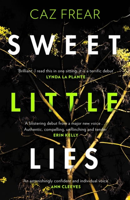 Sweet Little Lies : The Number One Bestseller, Paperback / softback Book