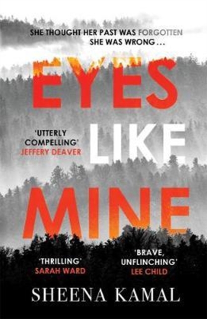 Eyes Like Mine : 'Utterly compelling . . . Will stay with you for a long, long time' Jeffery Deaver, Paperback / softback Book
