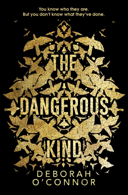 The Dangerous Kind : The thriller that will make you second-guess everyone you meet, Hardback Book