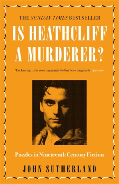 Is Heathcliff a Murderer? : Puzzles in Nineteenth-Century Fiction, Paperback / softback Book