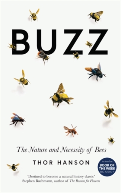 Buzz : The Nature and Necessity of Bees, Hardback Book