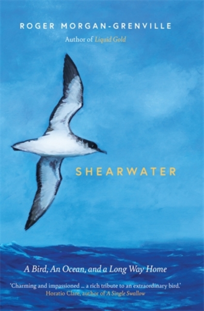 Shearwater : A Bird, an Ocean, and a Long Way Home, Hardback Book