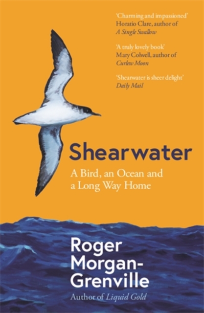 Shearwater : A Bird, an Ocean, and a Long Way Home, Paperback / softback Book
