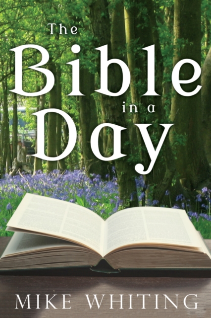 The Bible in a Day, Paperback / softback Book
