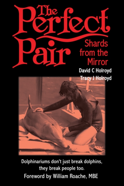The Perfect Pair : Shards from the Mirror, Paperback / softback Book