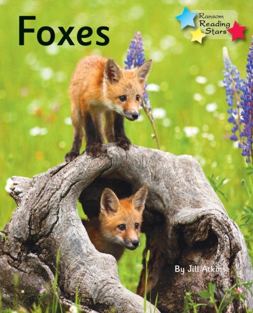 Foxes : Phonics Phase 5, PDF eBook