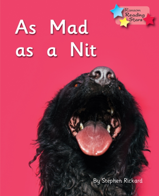 As Mad as a Nit : Phonics Phase 2, Paperback / softback Book