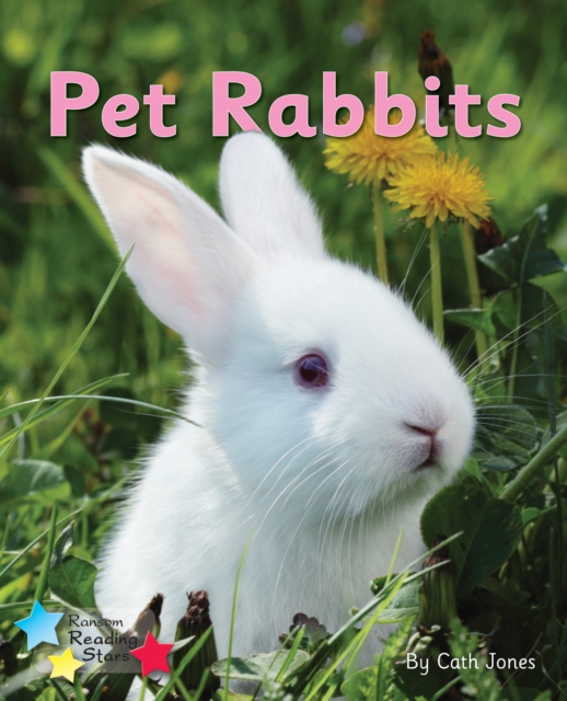 Pet Rabbits : Phonics Phase 3, PDF eBook