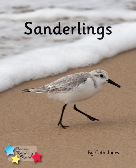 Sanderlings : Phonics Phase 4, Paperback / softback Book