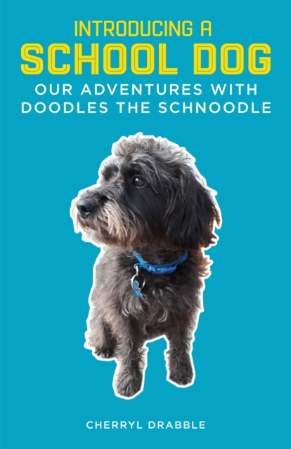 Introducing a School Dog : Our Adventures with Doodles the Schnoodle, Paperback / softback Book