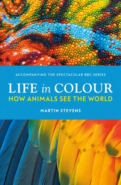 Life in Colour : How Animals See the World, Hardback Book