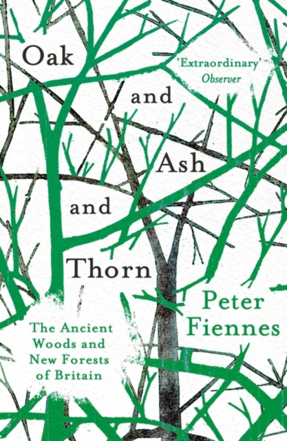 Oak and Ash and Thorn : The Ancient Woods and New Forests of Britain, Paperback / softback Book