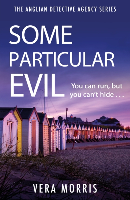 Some Particular Evil : The Anglian Detective Agency Series, Paperback / softback Book
